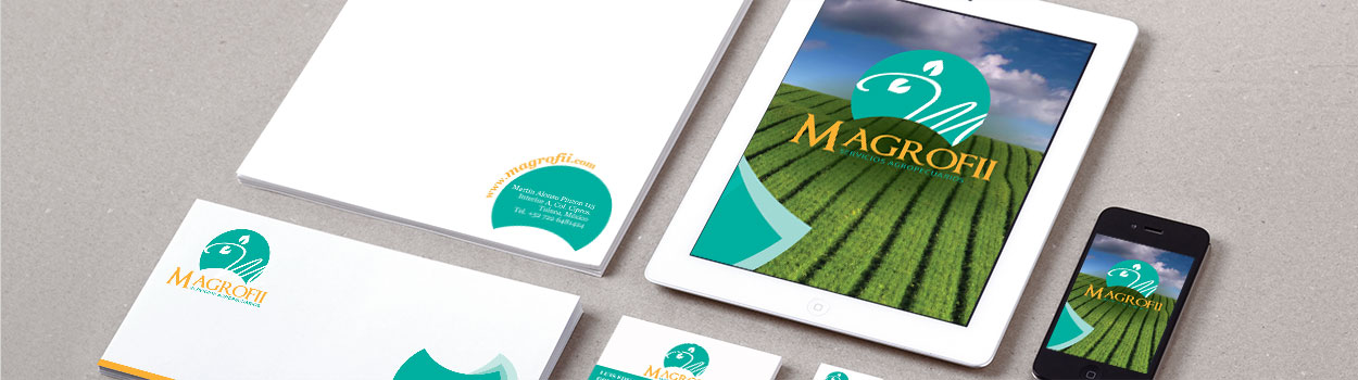 Precios y tarifas Diseño grafico y Diseño corporativo en México